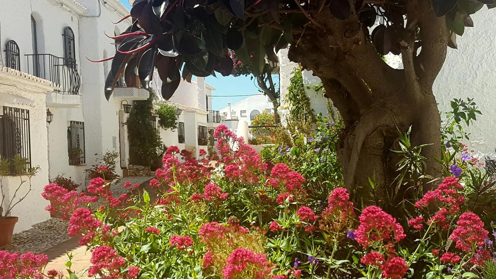 Villa Crisantemos Nerja